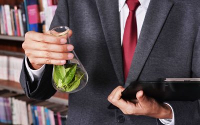 wmremove-transformed (55)